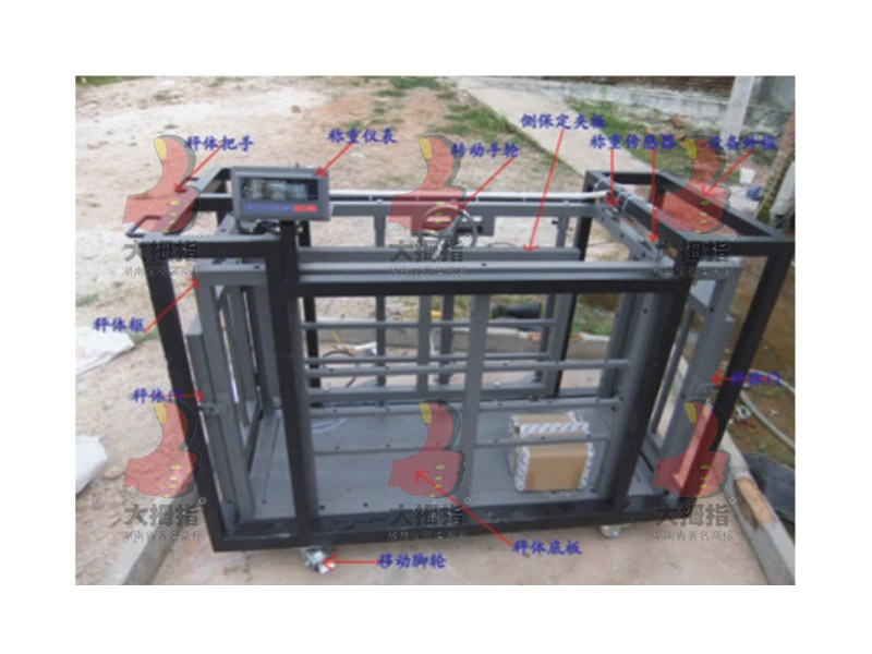 ��Ĵָ�N�i�y(c��)����