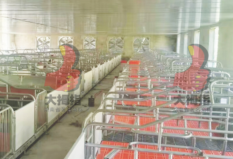 ��Ĵָ�����©�S��ĸ�i�a(ch��n)��,ĸ�i�a(ch��n)��,��Ĵָĸ�i�a(ch��n)��,��Ĵָ�B(y��ng)�i�O(sh��)��,��ʳ��,�L(zh��ng)ɳ�B(y��ng)�i�O(sh��)��,�i�˹��ھ�,�L(zh��ng)ɳ�B(y��ng)�i�O(sh��)�乫˾,�����i�˹��ھ�,�����i��(ch��ng)�O(sh��)��,���ϴ�Ĵָ�����C(j��)е�������޹�˾,�L(zh��ng)ɳ��Ĵָ�B(y��ng)�i�O(sh��)��S(ch��ng),�����L(zh��ng)ɳ�B(y��ng)�i��(ch��ng)��е